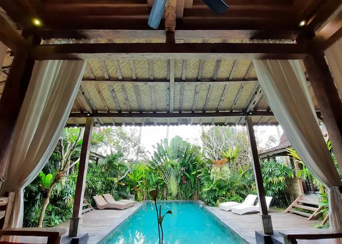 Virgin Villa *