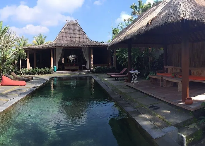 Virgin Villa *