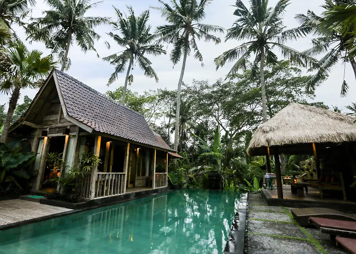 Virgin Villa *